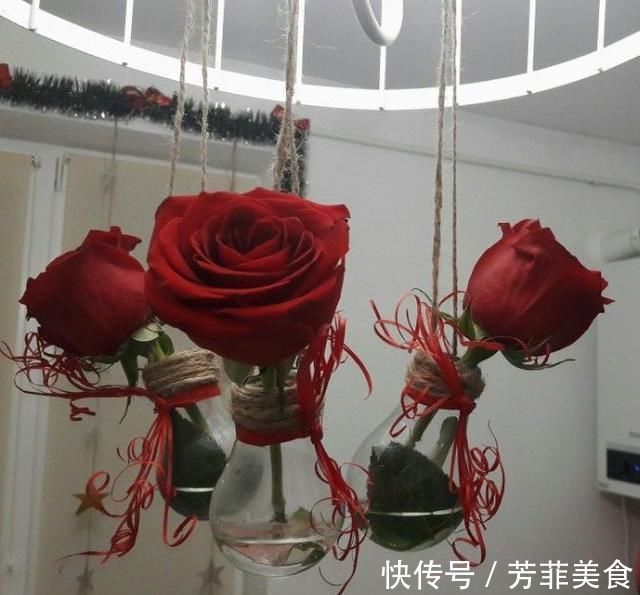 邻居|把灯泡拿去养花,挂在阳台上太好看了!真的太佩服邻居的脑洞