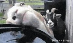 那些骗了我们很久的生理知识