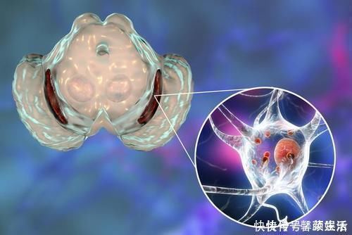 老年人|别把衰老当病治，这些症状不是病，只是老了