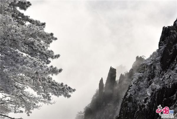 冰雪|大雪过后的黄山，是一个被冰雪包裹的艺术品