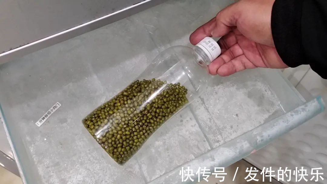 家里有绿豆的要留意,绿豆也有保质期,我也是刚知道,看完记心上