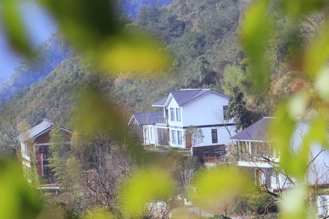 大杭州唯一!建德这个高山上的千年古村,捧回了一个省级大荣誉!