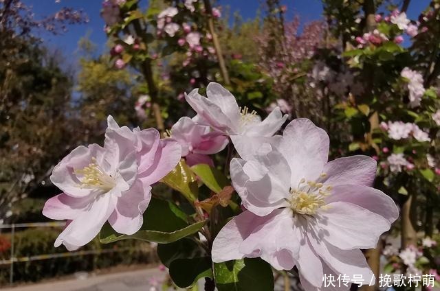 养花上瘾的人都有这六个症状,我就中了其中三个,你呢!