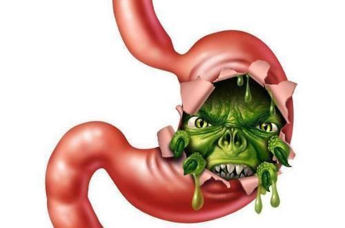 叶子|多肉叶子一碰就掉怎么办?摸清这些病灶、处理方法,一切没问题