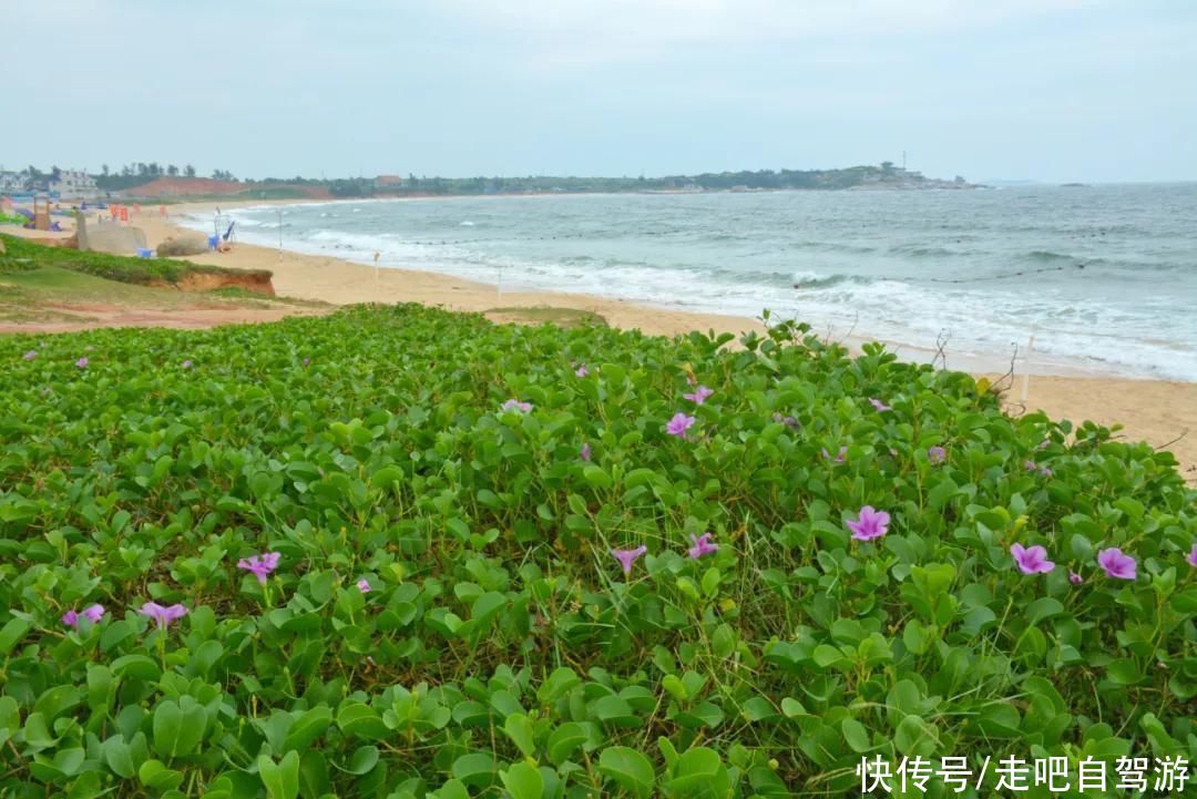 神奇“粤东麒麟角”，波涛汹涌又风平浪静，自然人文历史一样不缺