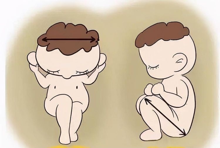双顶径|双顶径看男女:头小腿长是女孩,头大腿短是男孩?