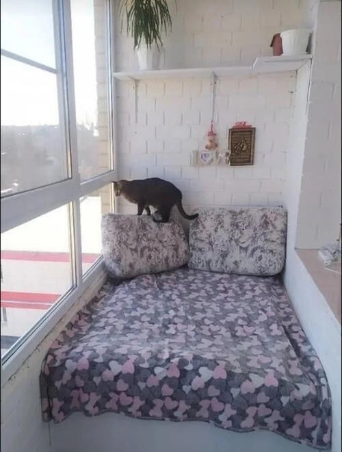 木柜床|阳台别打卡座了,装个木柜床能装又能躺,还能当间房多实用!