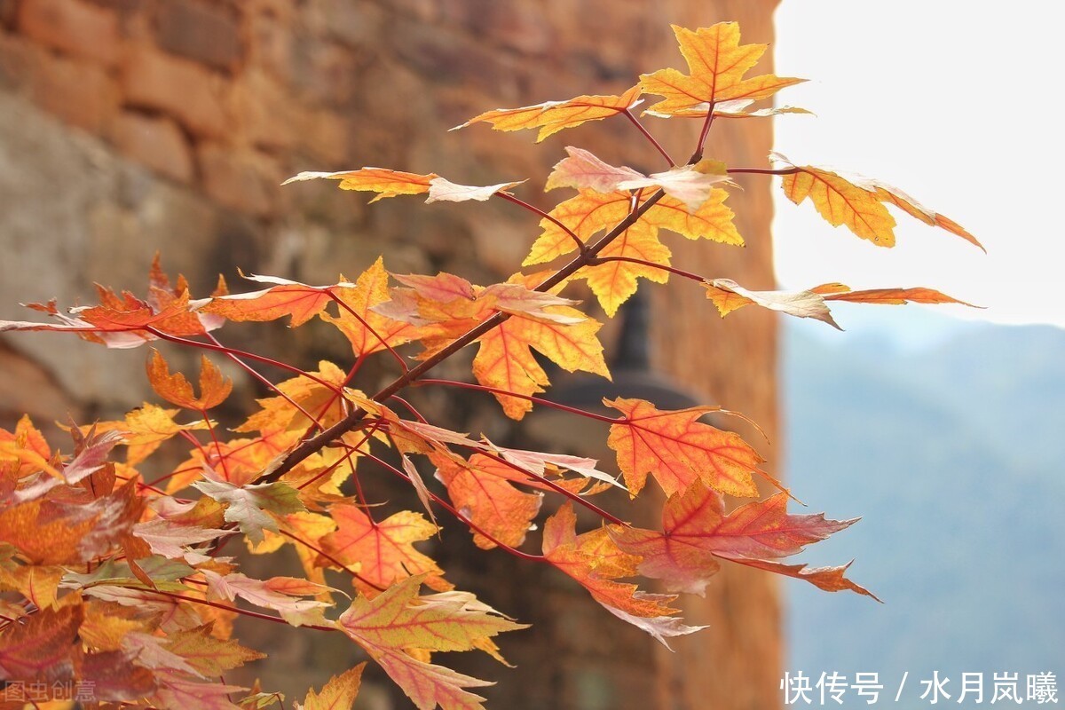 落叶空山，年华向晚，淡淡秋风微雨过，流光瘦减繁华