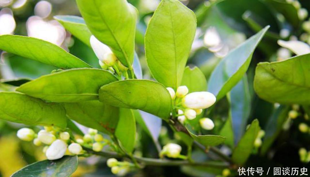 生活|杨万里把生活中的小事写成诗,一首经典的七绝《小雨》,美得惊艳