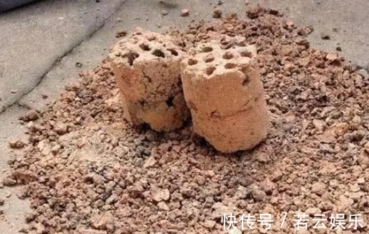 悄悄告诉你,养花学会“这3招”,不黄叶不烂根,花卉蹭蹭长爆盆