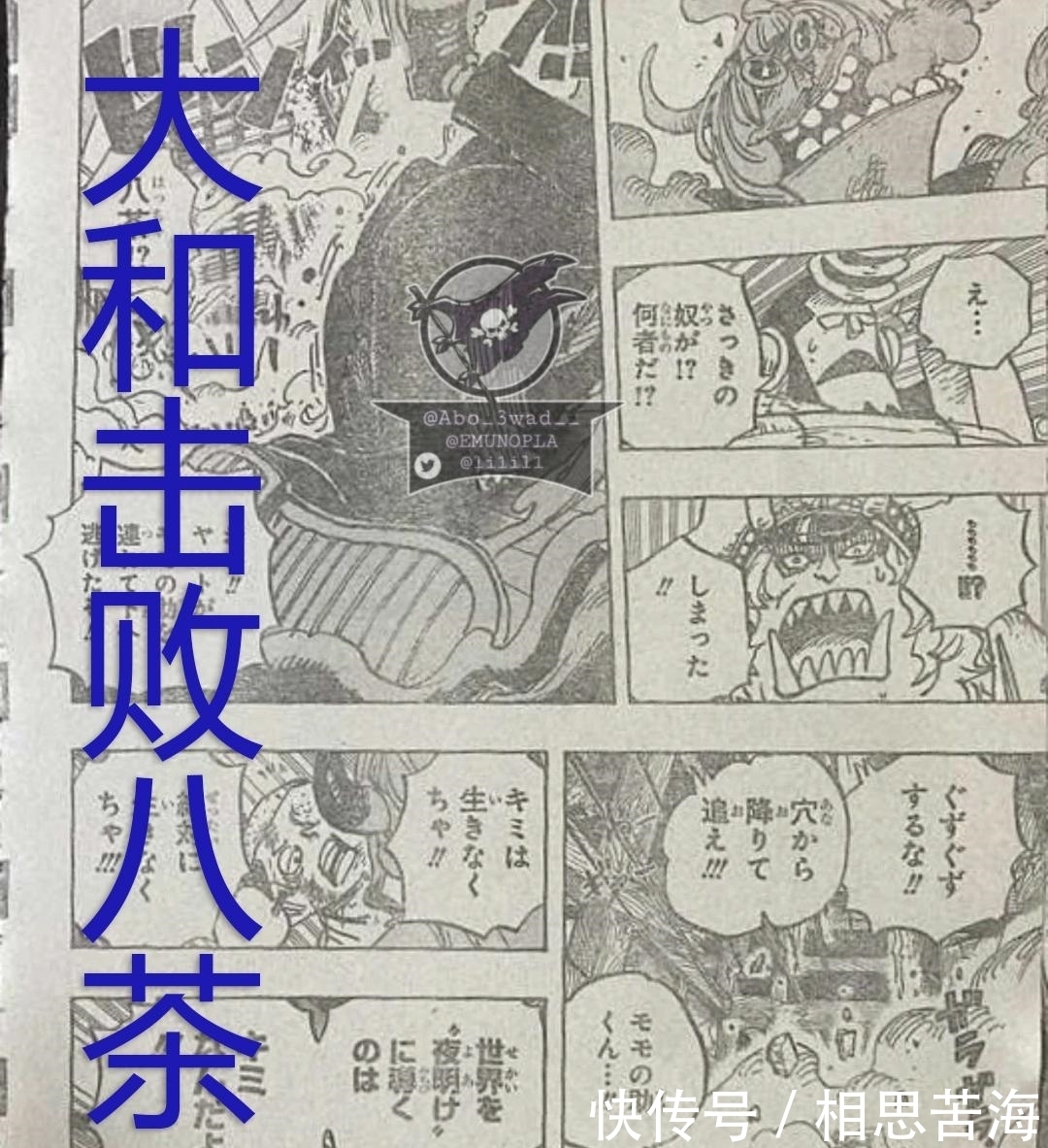 桃之助|海贼王996漫画：大和也是龙龙果实能力者，罗找到历史本文