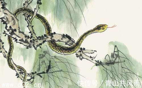 运气很好,能赚到不少的几个生肖,一辈子都不会缺钱