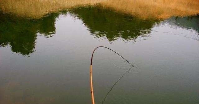 钓3-5公斤的大鱼,根据3点选择鱼钩,跑鱼少收获好