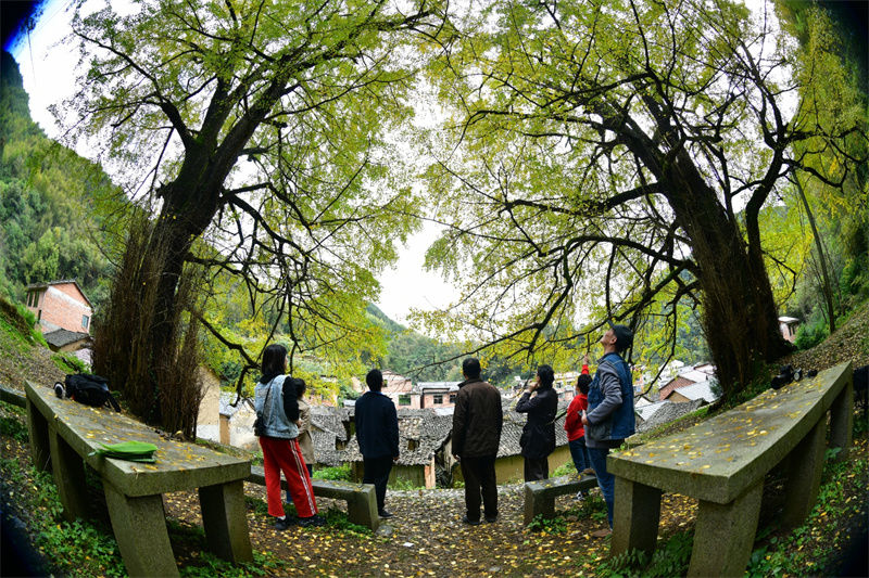 诗人|三坑口的火柴棒，点燃这座山那座山 ——潘政祥新诗集《如果梦碎了》序