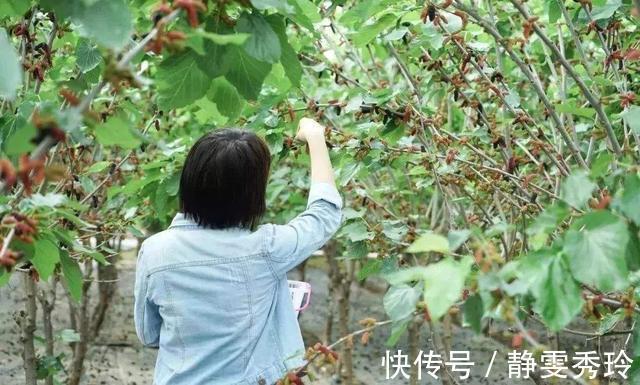 血糖生成指数|经常吃桑葚，到底是升血糖还是降血糖终于有营养师说正确吃法了