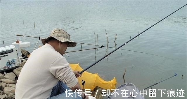 秋天野钓鲤鱼用什么饵料较好？这样搭配饵料，连竿几率更高