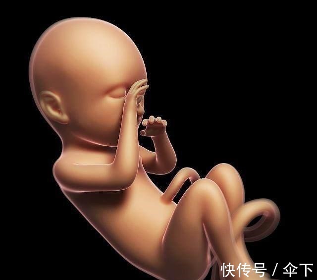 活泼型|胎动不一样,宝宝的性格不一样,你的宝宝属于这4种的哪一种!