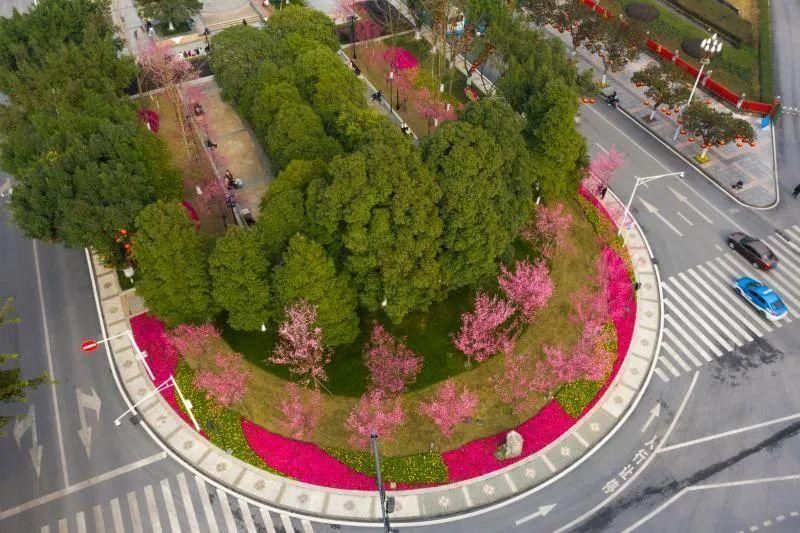 二月春光如酒浓 共赴广安花的盛宴