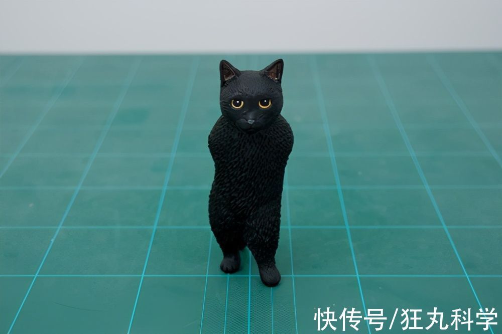 长颈狗|全球的猫都想屏蔽这个日本人,他到底做了多少沙雕手办?