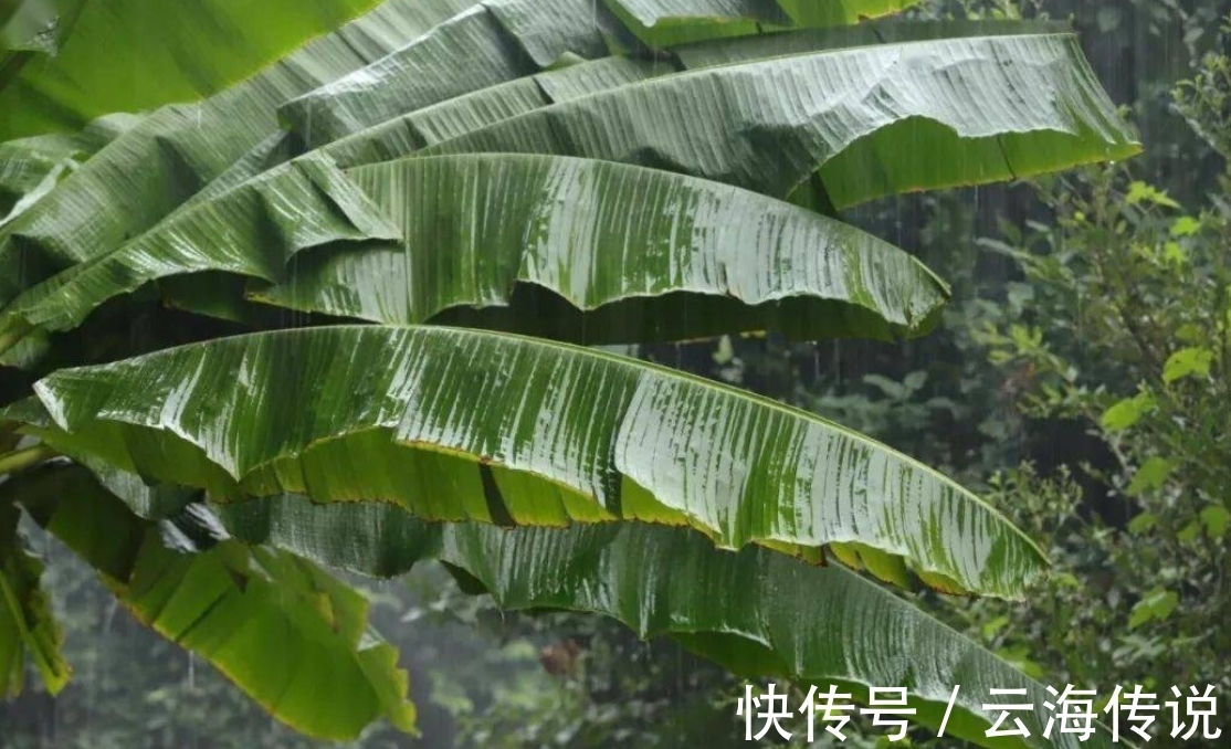 开篇|宋朝非顶流词人的一首词,开篇10字就是千古名句,令人惊艳