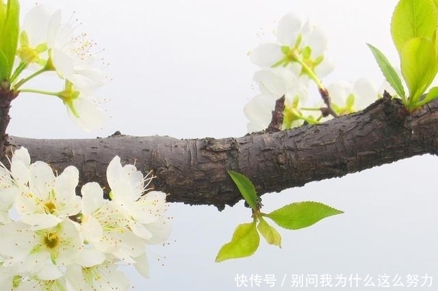 林清玄|林清玄:致富之道无他,惜缘、布施而已