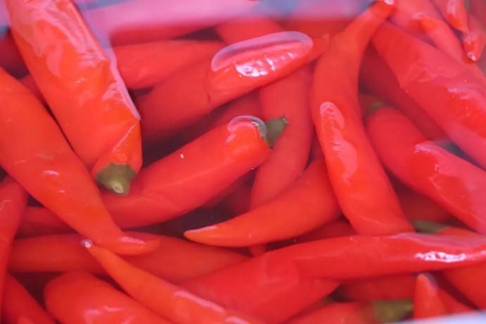 没得泡菜，丽江人真的吃不下饭！