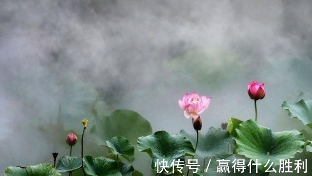 金舆@史上最著名的一首骂皇帝诗,却因写得水平太高,皇帝都不禁嘉赏!