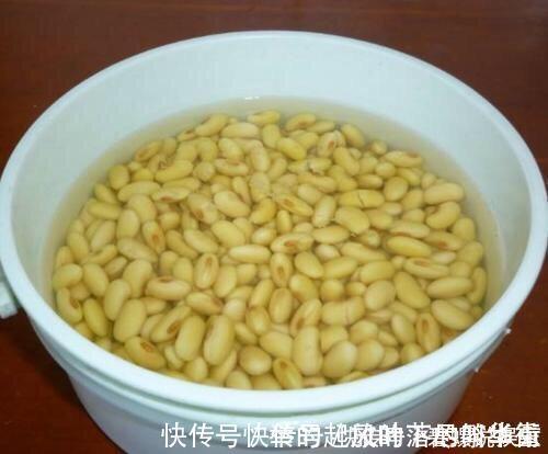 豆饼肥|虎皮兰施什么肥2种东西丢盆里,一年不用施肥,叶厚油绿新芽多