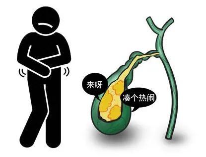 胆囊|消化不良上腹痛，就是胃病吗？还可能是它在作怪