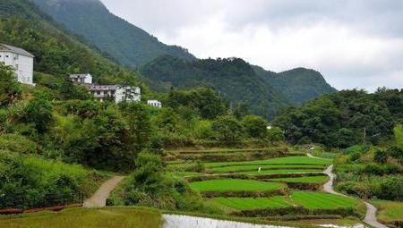 王莽|安徽有一村落在大山中，有“中国富硒第一村”之称，老人都很长寿