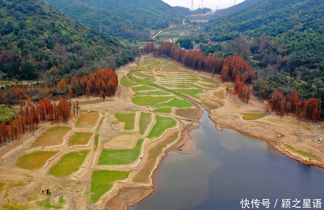 红杉林|水库水杉红，风光之美，缺水之忧