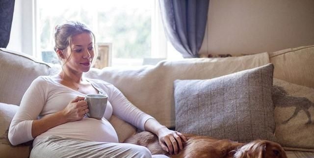 胎儿|按时产检却生下“畸形儿”这些问题检查时很难发现,孕妈要知道