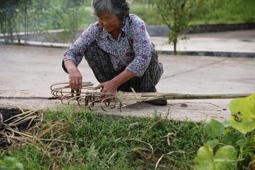 98岁的老奶奶还能下地干活?秘诀是把血脂降下,保持血管健康