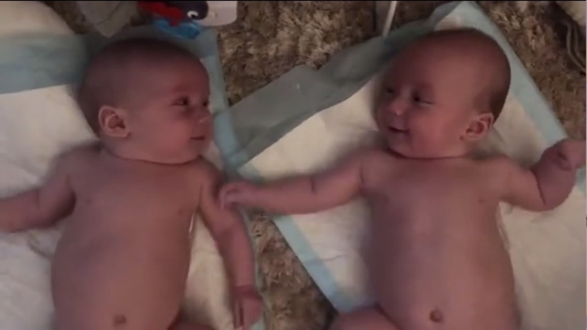 双胞胎|四个月大的双胞胎宝宝愉快的聊天火了,网友:这交流的真毫无障碍