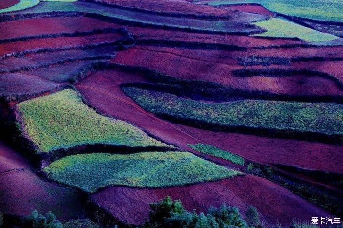 醉美东川红土地……大地调色板