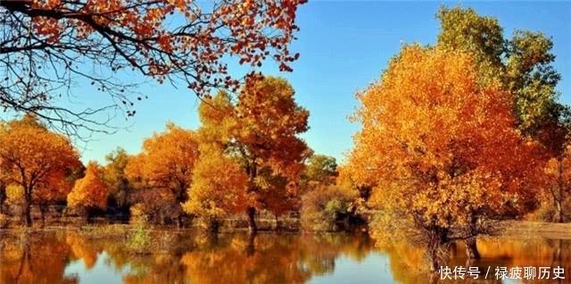 黄叶|苏轼的黄叶村和曹雪芹的黄叶村,有什么内在的联系?