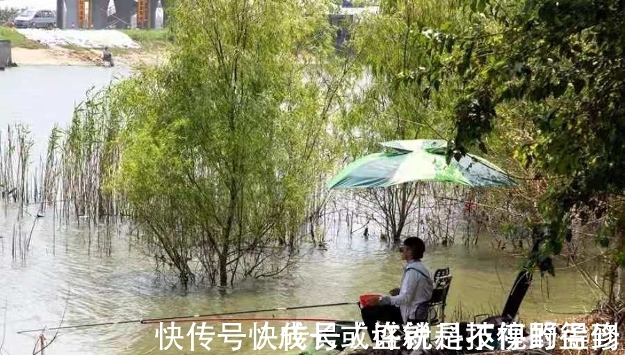 瞬间|你还别说，自从用这方法来对付鲤鱼，不吹不黑，竿子瞬间被拉弯