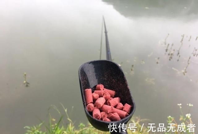 钓友|光水钓鲫鱼那点事儿，用长竿太累，但能比别人钓得更多