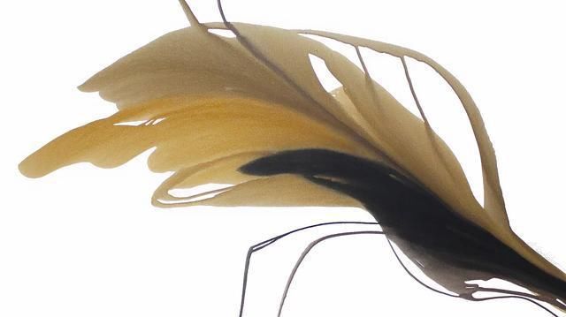 乌克兰|乌克兰艺术家安东·索科洛夫的水、彩画