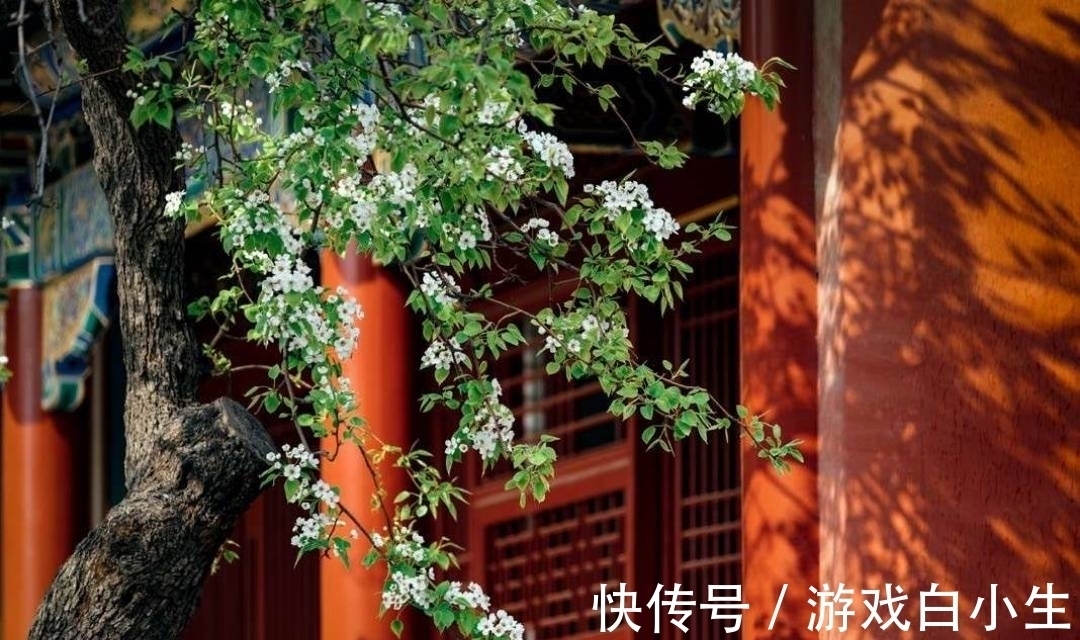 唐玄宗$14句带“笑”字的古诗词,笑容有苦也有甜,句句扣人心弦