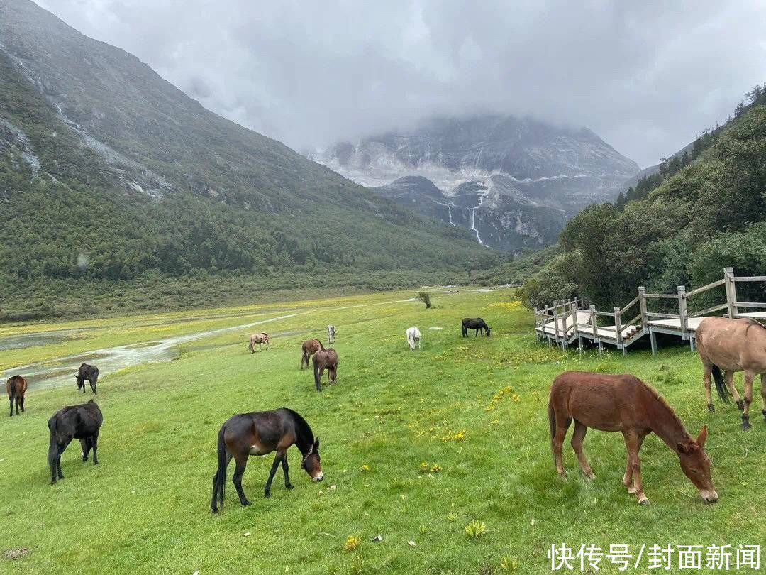 蓝色|百年百篇｜绿水青山就是金山银山 如何守护蓝色星球上的“最后一片净土”？