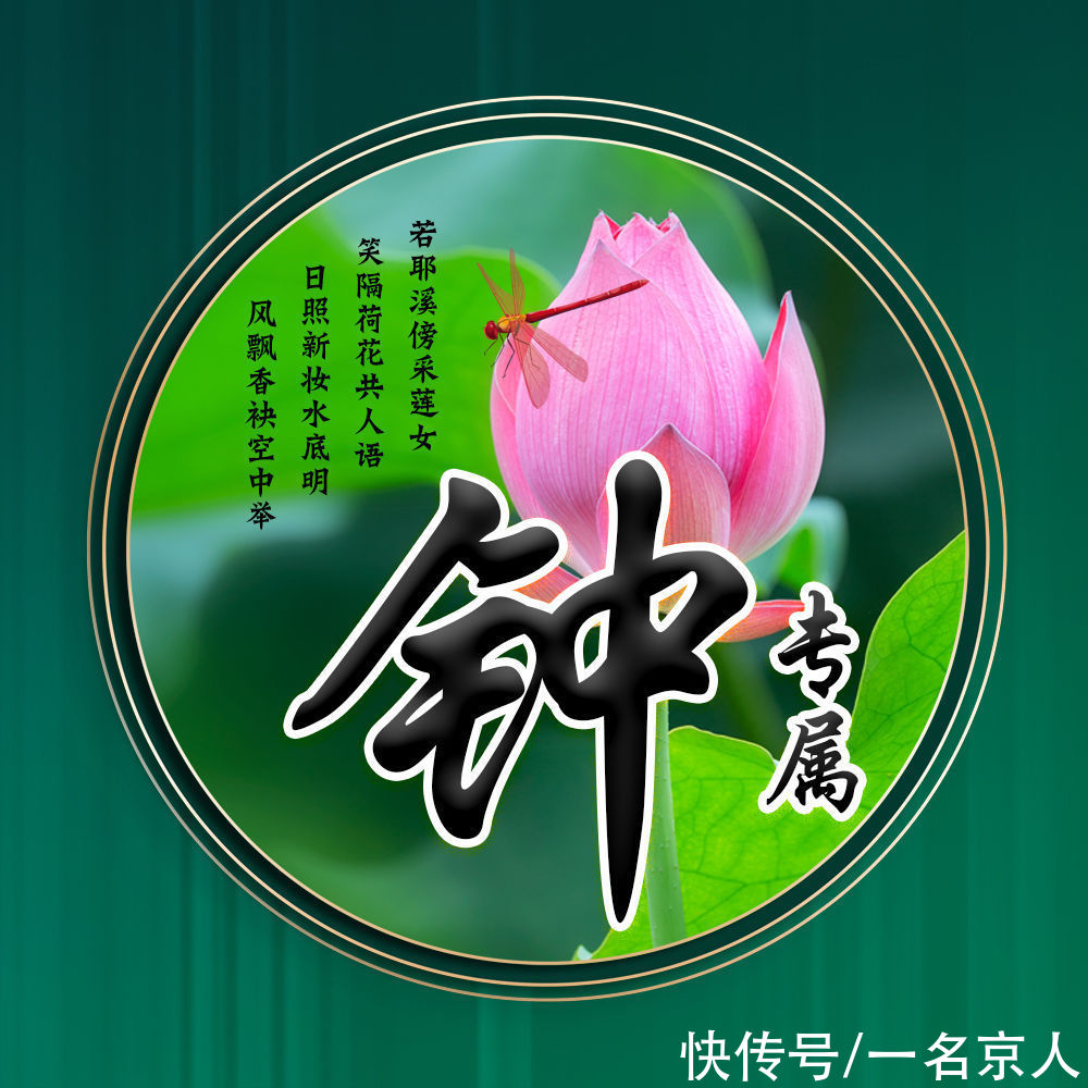 唯美|用你的姓氏当头像，20张唯美荷花大气图片，中国风华丽登场