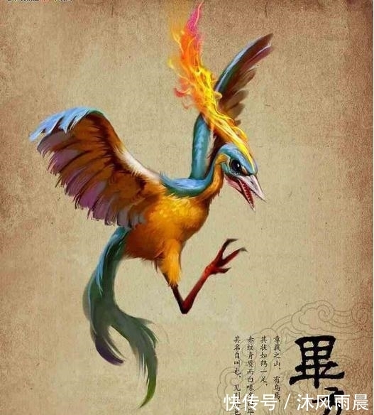 十大神鸟#上古神话中十大神鸟分别是哪些?我们熟悉的精卫便是其中之一