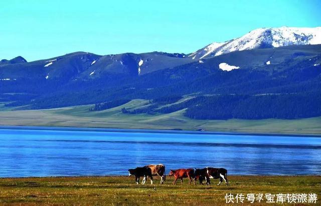 你可去过伊犁美丽的大草原？这可是个不可多得地方，独具西域风情