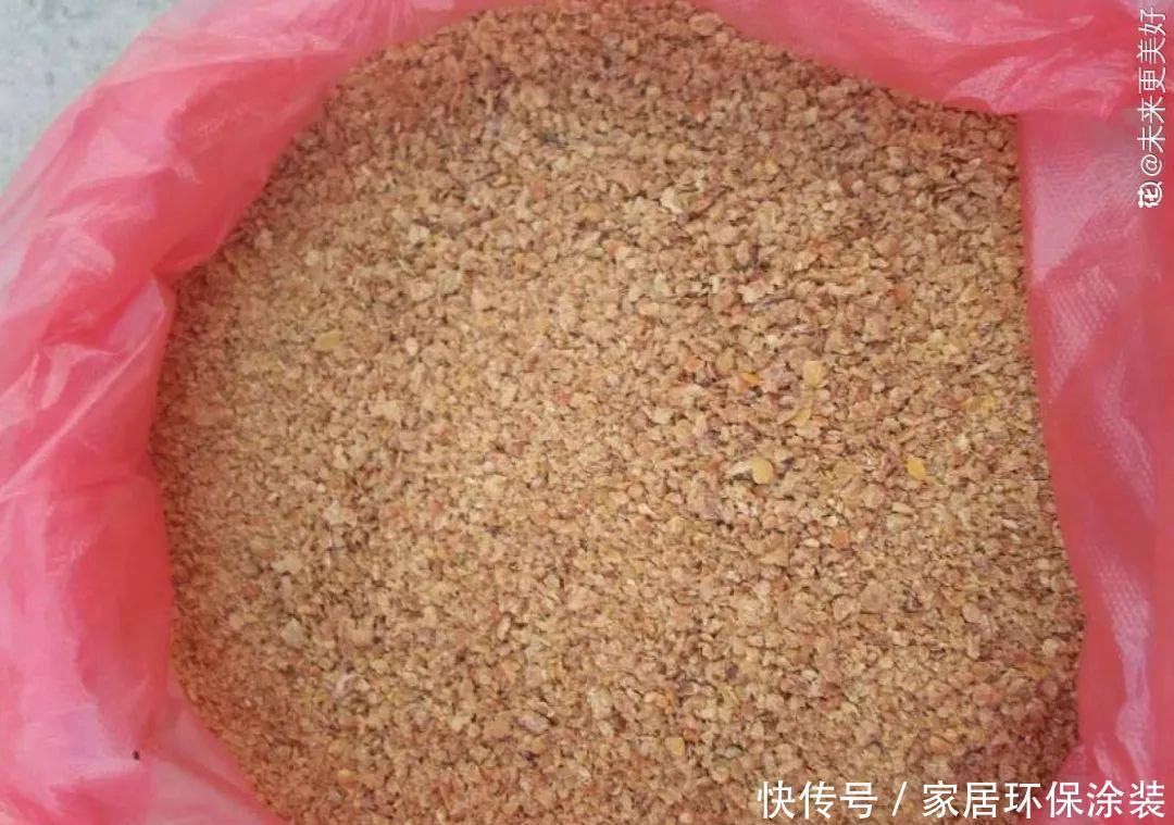 鸡蛋戳个洞,埋盆里1年不用施肥,三角梅疯狂开花