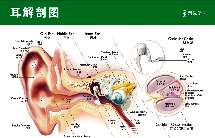 锂电池|蓝牙耳机爆炸：印度15岁男孩身亡，好端端的耳机为何会突然爆炸？