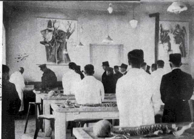 下场|唯一建国后改姓的国家,改姓后两代国王下场凄惨到了极点