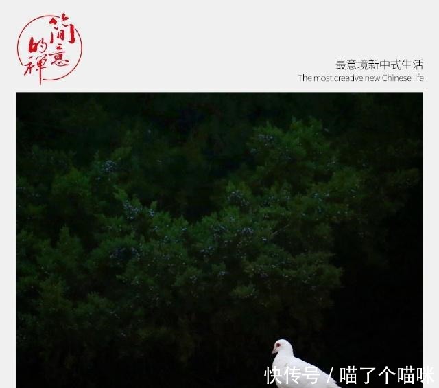 崔浩|学会赞美,一句良言,温暖三冬!