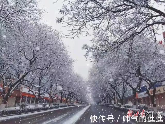 雪景|惊艳！平凉迎来入秋第一场雪，刷爆朋友圈！