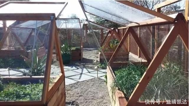 现在有个菜园才是人生赢家,450㎡可食用花园,实现你的吃货自由